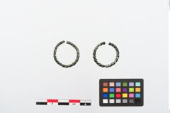 Foto von Bronzering (NHMW-PRAE-024172a)